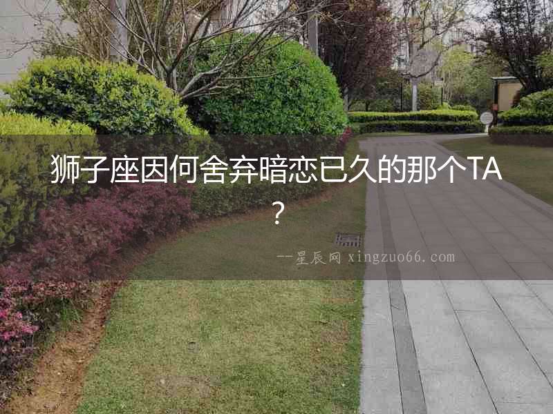 獅子座因何舍棄暗戀已久的那個TA？