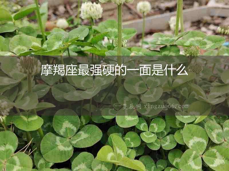 摩羯座最強(qiáng)硬的一面是什么