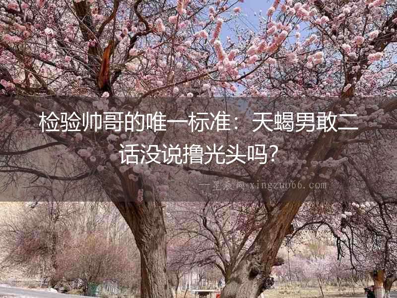 檢驗帥哥的唯一標準：天蝎男敢二話沒說擼光頭嗎？