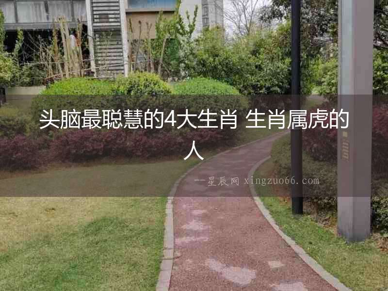 頭腦最聰慧的4大生肖 生肖屬虎的人