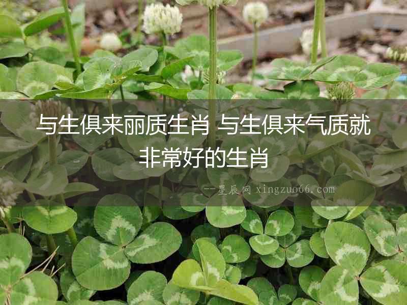 與生俱來麗質(zhì)生肖 與生俱來氣質(zhì)就非常好的生肖