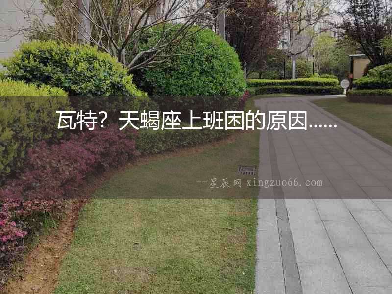 瓦特？天蝎座上班困的原因......
