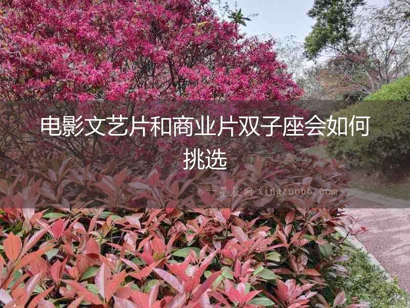 電影文藝片和商業片雙子座會如何挑選