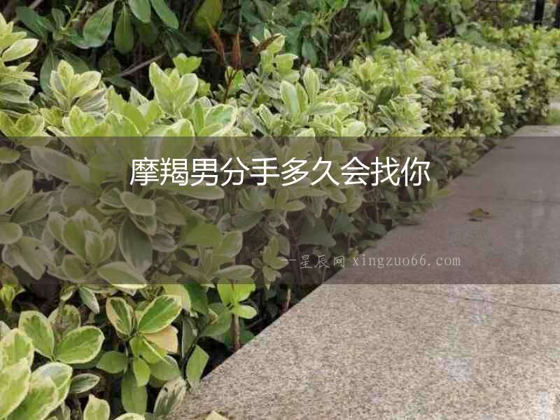摩羯男分手多久會(huì)找你