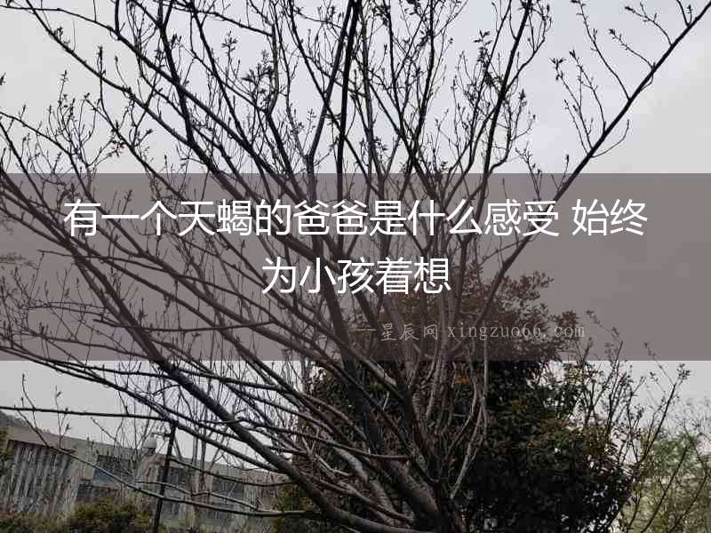 有一個(gè)天蝎的爸爸是什么感受 始終為小孩著想