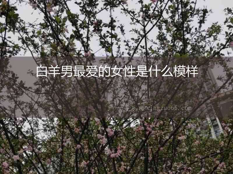 白羊男最愛的女性是什么模樣