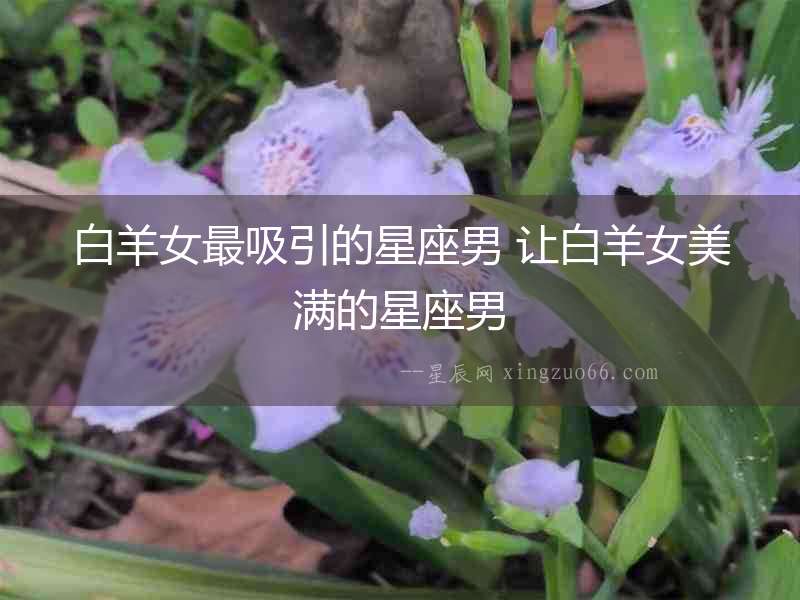 白羊女最吸引的星座男 讓白羊女美滿的星座男
