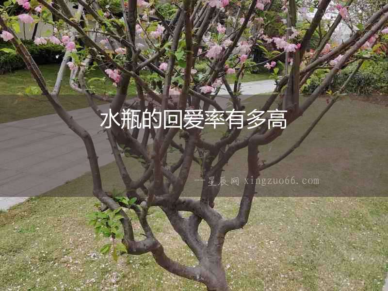 水瓶的回愛率有多高