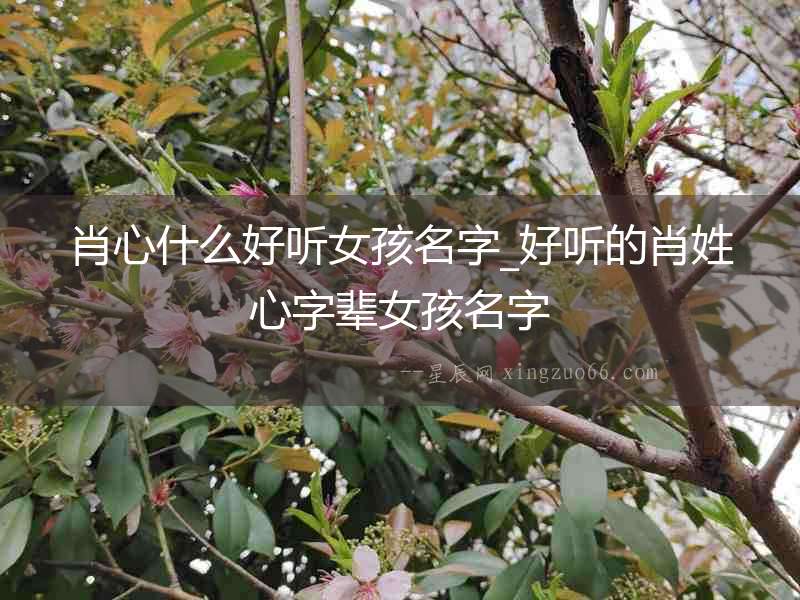 肖心什么好聽女孩名字_好聽的肖姓心字輩女孩名字