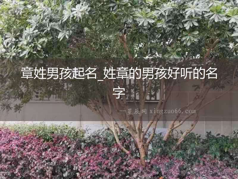 章姓男孩起名_姓章的男孩好聽的名字