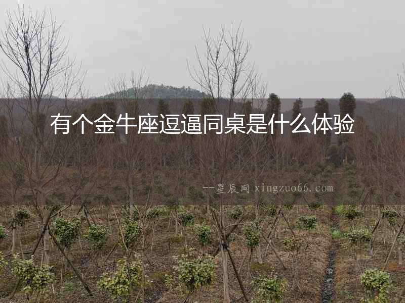 有個金牛座逗逼同桌是什么體驗