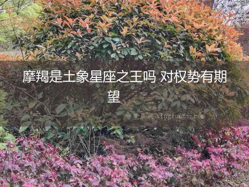 摩羯是土象星座之王嗎 對權勢有期望  　　