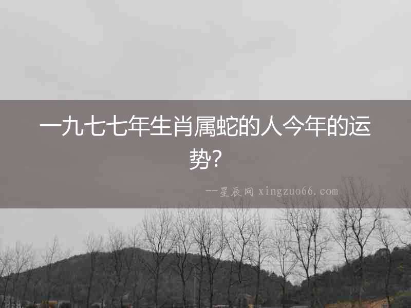 一九七七年生肖屬蛇的人今年的運勢？