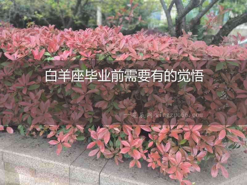 白羊座畢業前需要有的覺悟