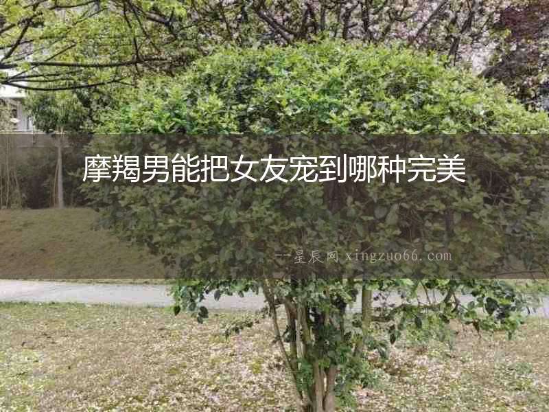摩羯男能把女友寵到哪種完美