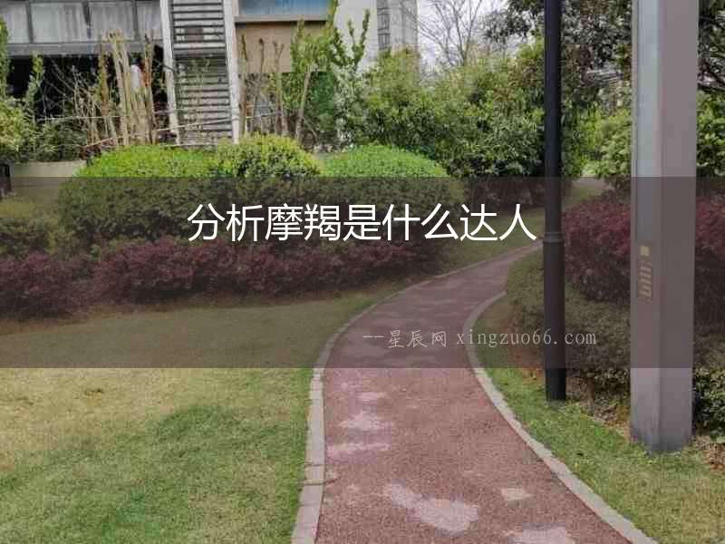 分析摩羯是什么達人