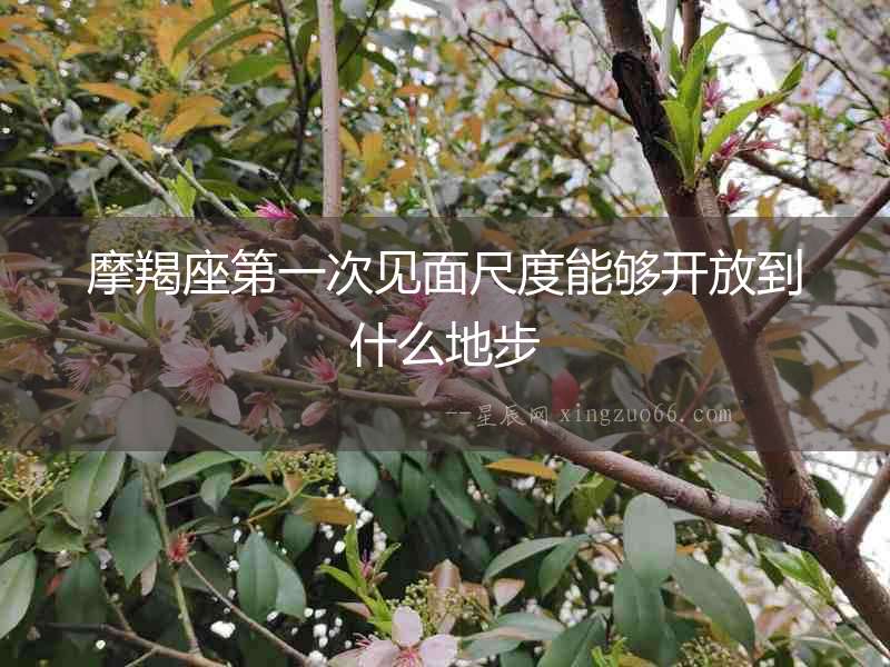 摩羯座第一次見(jiàn)面尺度能夠開(kāi)放到什么地步