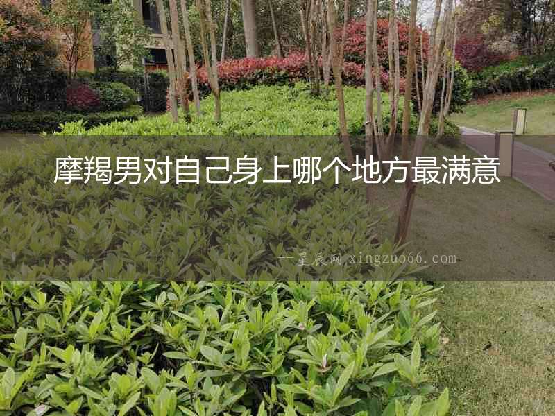 摩羯男對自己身上哪個地方最滿意
