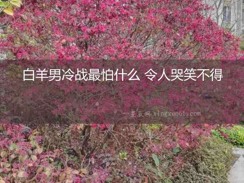 白羊男冷戰(zhàn)最怕什么 令人哭笑不得
