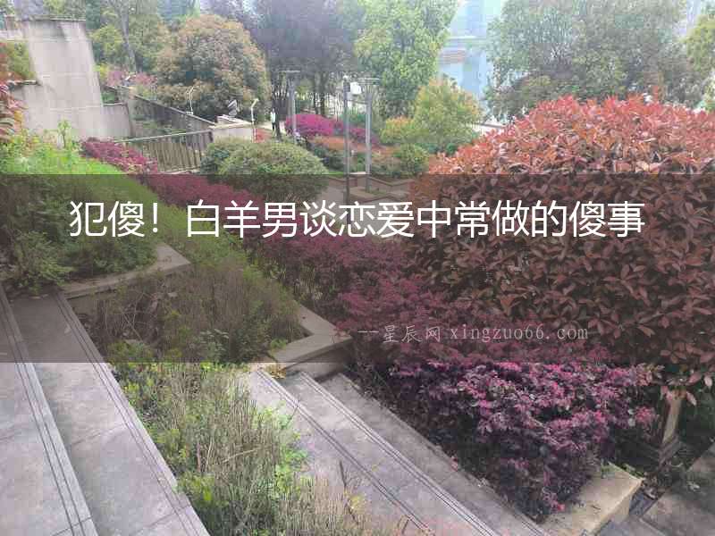犯傻！白羊男談戀愛中常做的傻事