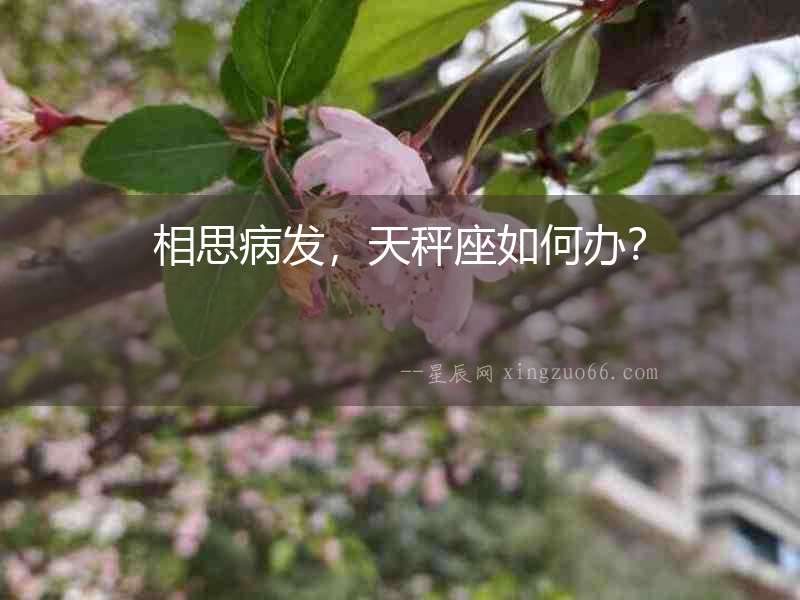 相思病發，天秤座如何辦？