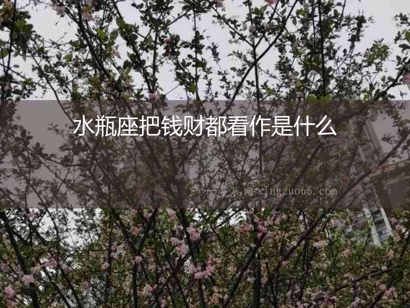水瓶座把錢財都看作是什么