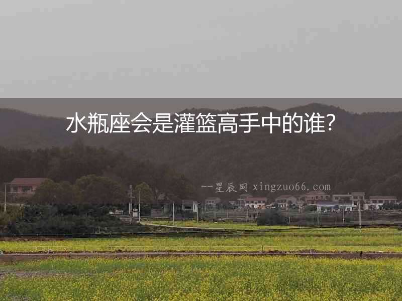 水瓶座會是灌籃高手中的誰？