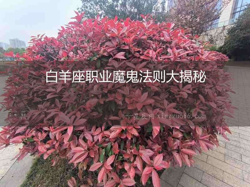 白羊座職業魔鬼法則大揭秘