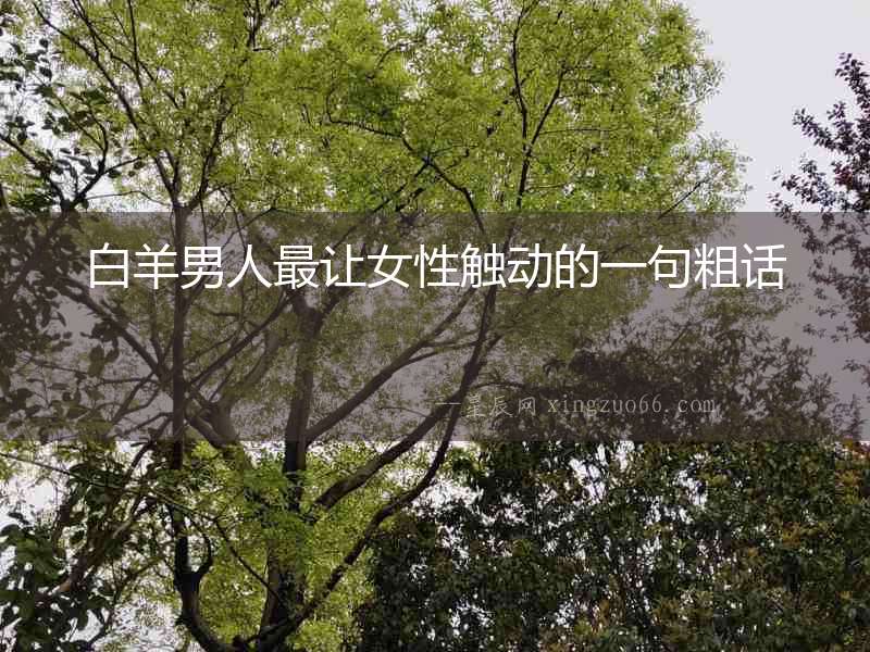 白羊男人最讓女性觸動的一句粗話