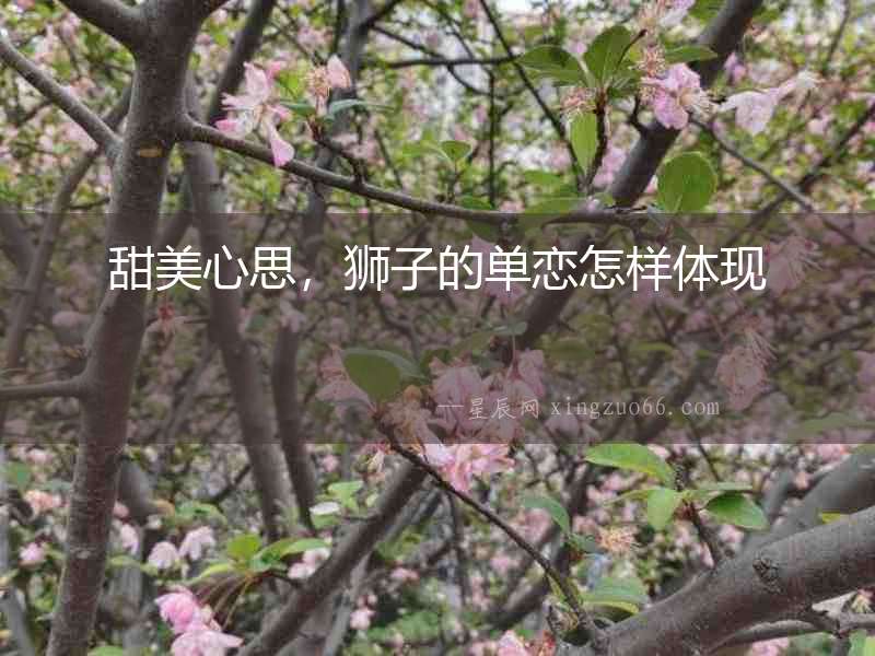 甜美心思，獅子的單戀怎樣體現