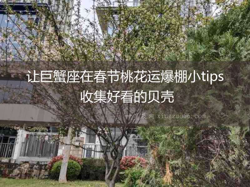 讓巨蟹座在春節桃花運爆棚小tips 收集好看的貝殼