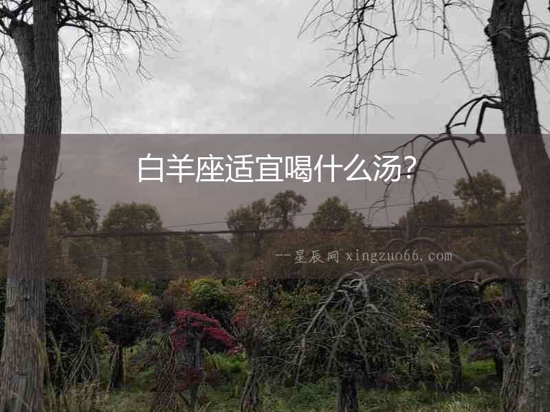 白羊座適宜喝什么湯？