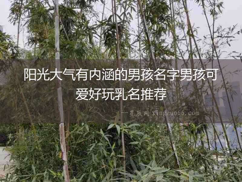 陽光大氣有內涵的男孩名字男孩可愛好玩乳名推薦
