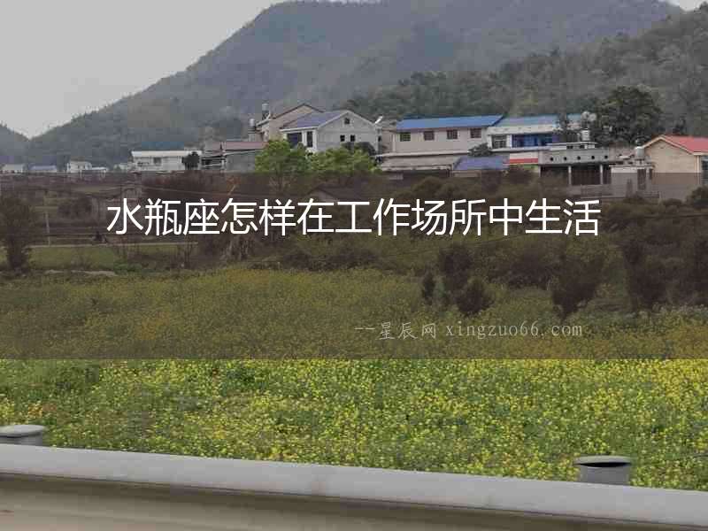 水瓶座怎樣在工作場所中生活