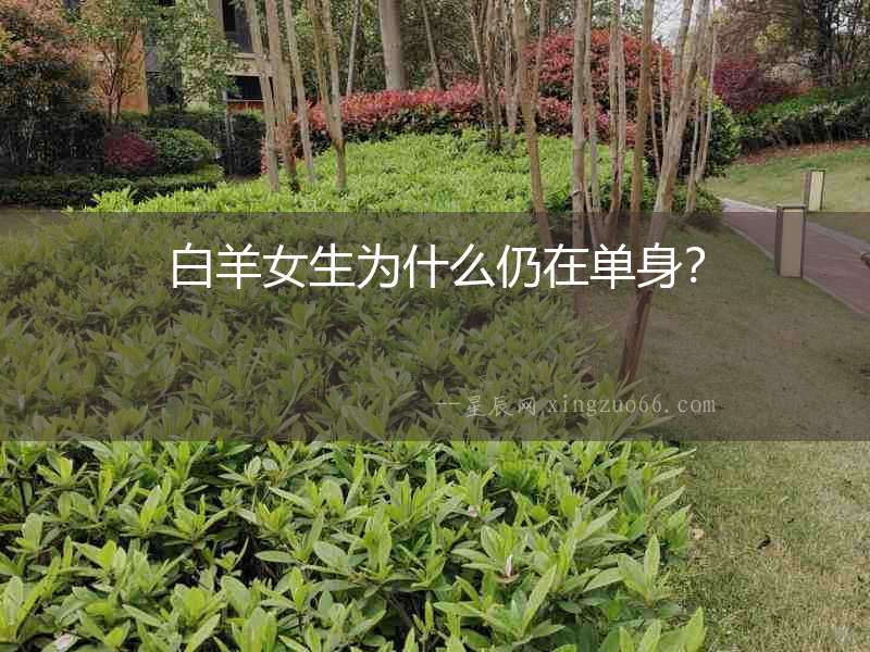白羊女生為什么仍在單身？