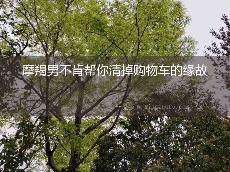 摩羯男不肯幫你清掉購物車的緣故