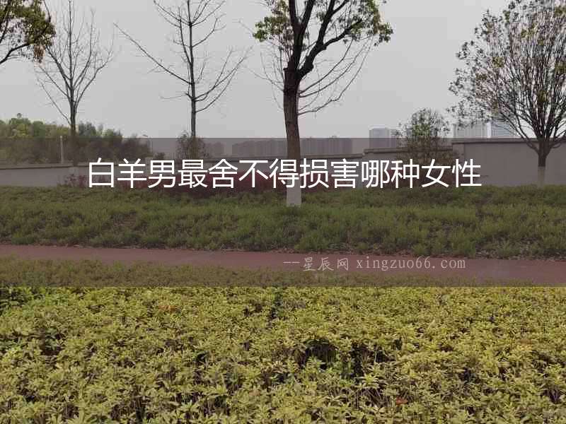 白羊男最舍不得損害哪種女性