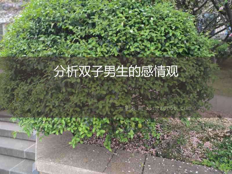 分析雙子男生的感情觀