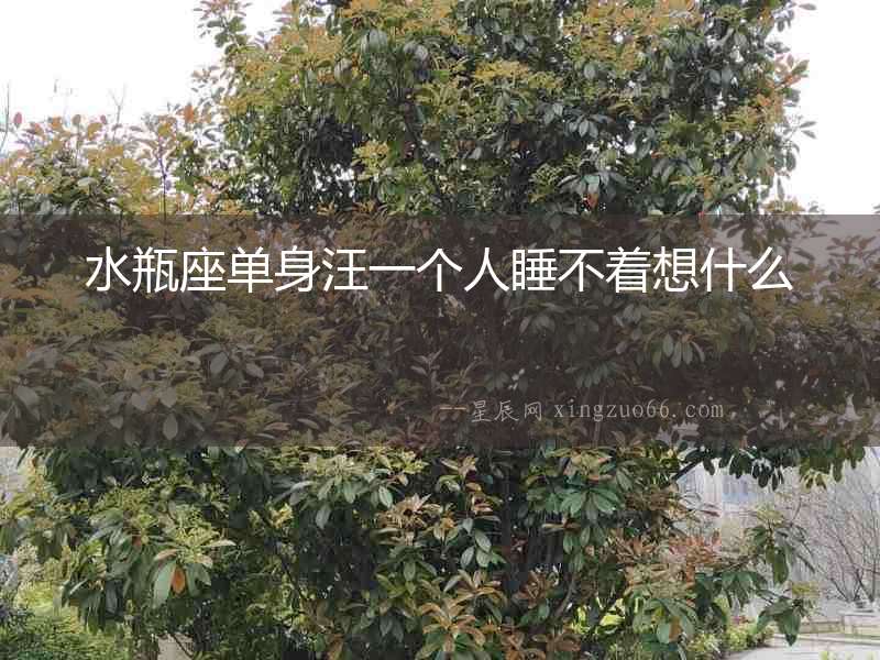 水瓶座單身汪一個(gè)人睡不著想什么