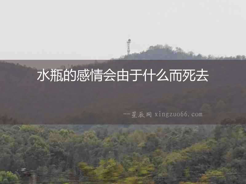 水瓶的感情會(huì)由于什么而死去