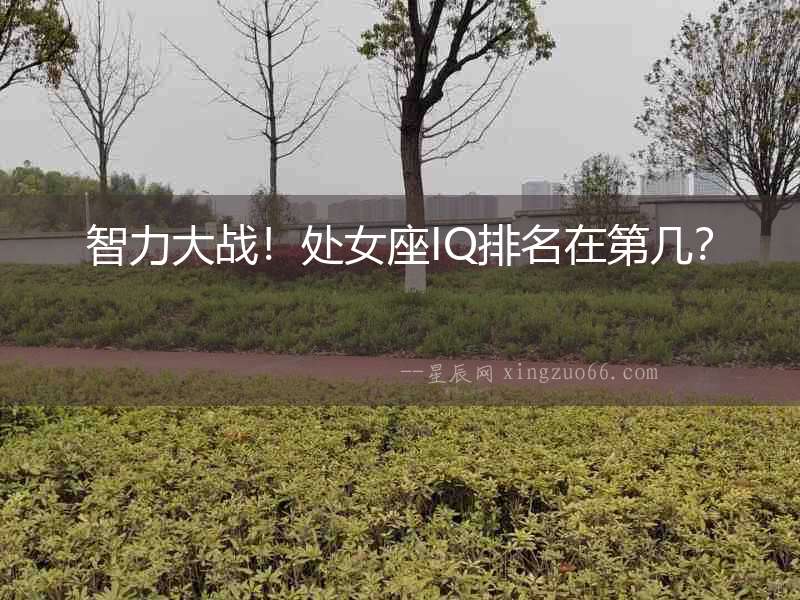 智力大戰！處女座IQ排名在第幾？