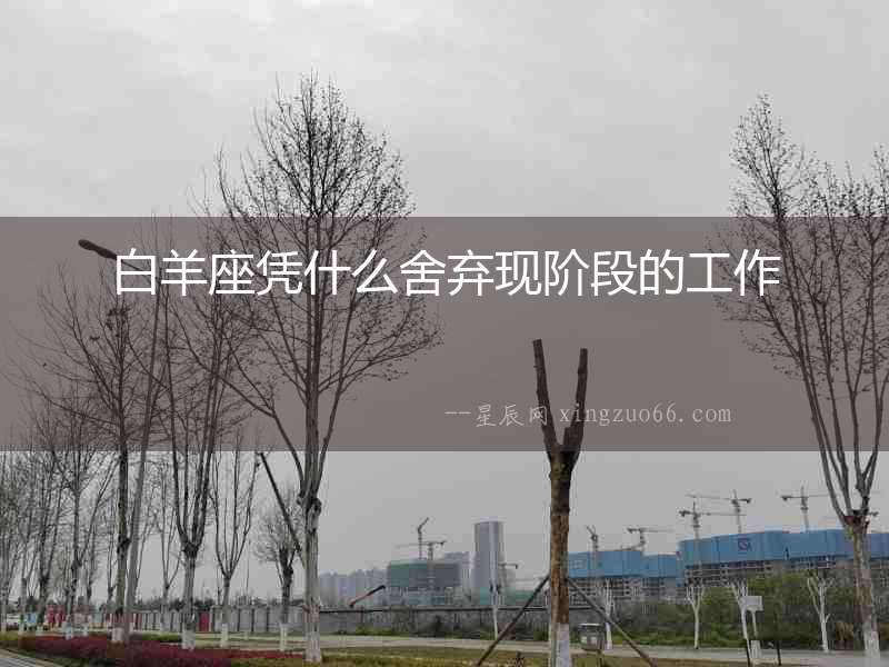 白羊座憑什么舍棄現階段的工作