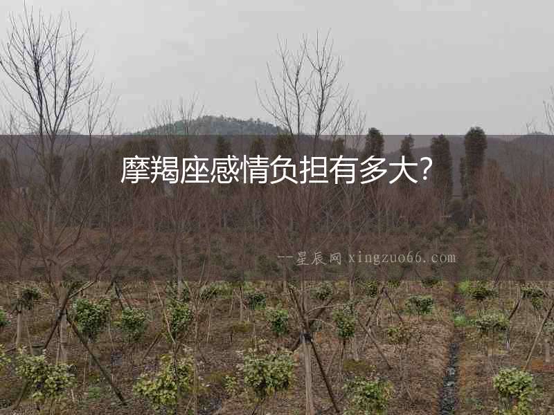 摩羯座感情負(fù)擔(dān)有多大？