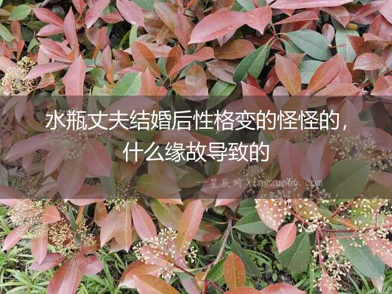 水瓶丈夫結婚后性格變的怪怪的，什么緣故導致的