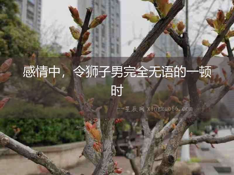 感情中，令獅子男完全無語的一頓時