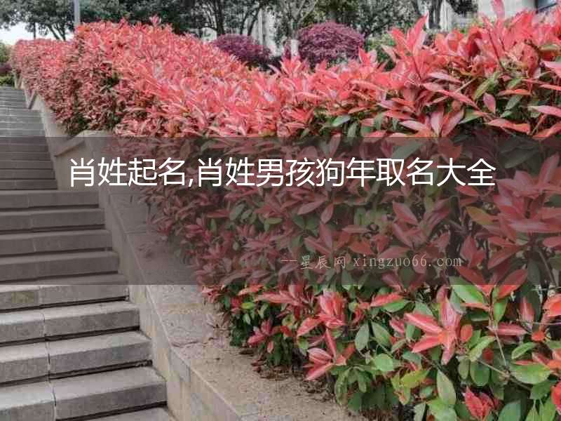 肖姓起名,肖姓男孩狗年取名大全