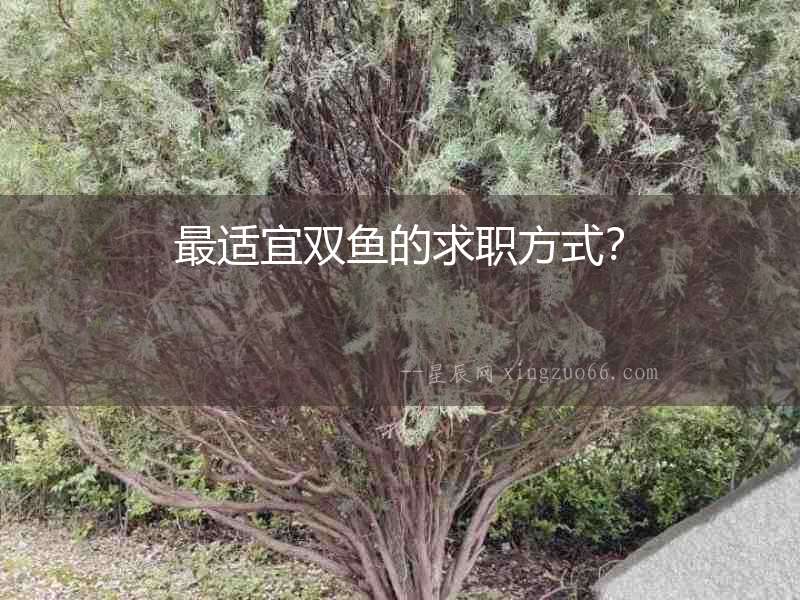 最適宜雙魚的求職方式？