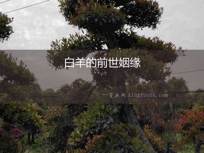 白羊的前世姻緣