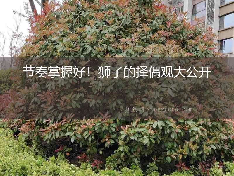 節(jié)奏掌握好！獅子的擇偶觀大公開