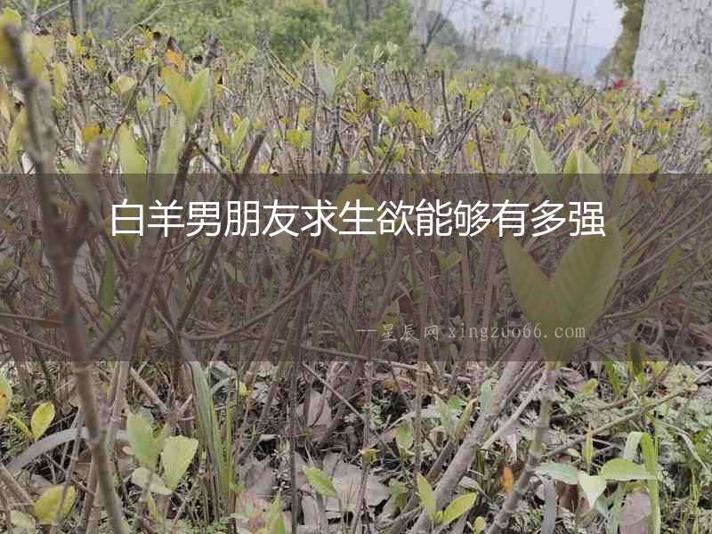 白羊男朋友求生欲能夠有多強